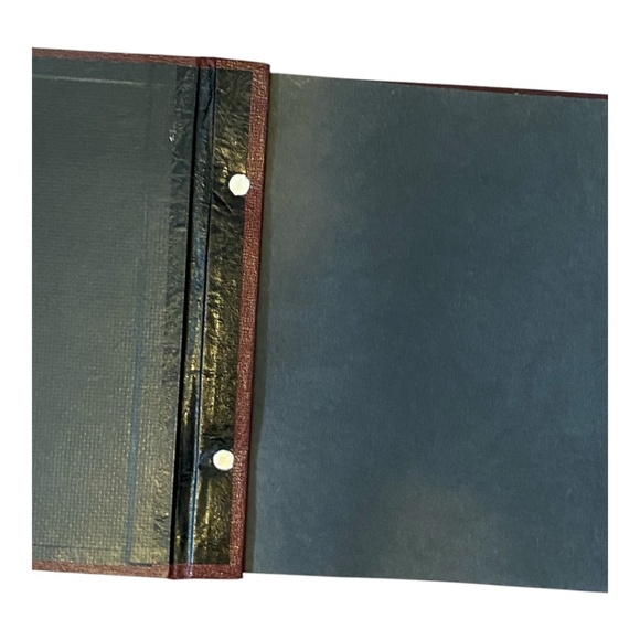 Vintage photo album. Etched painted detail with birds - Picture 4 of 16